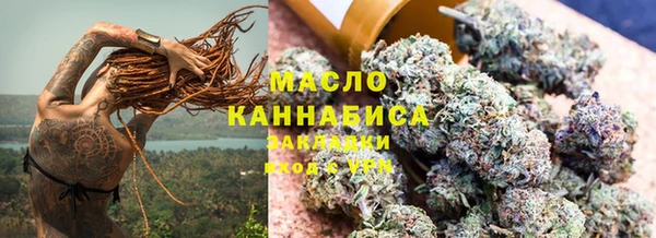 МДПВ Каменногорск