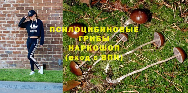 mix Каменка