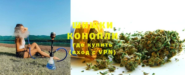 МДПВ Каменногорск