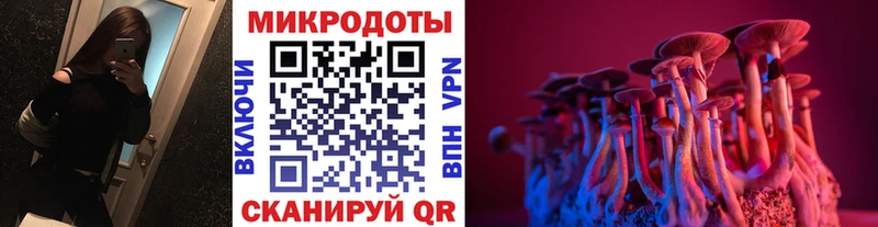 Купить где  Пионерский  Галлюциногенные грибы ЛСД 