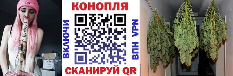 Купить закладки  Пионерский  МАРИХУАНА гибрид 